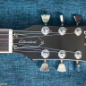Aria Pro II LS-450 LP Standard
