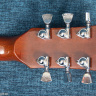 Aria Pro II LS-450 LP Standard
