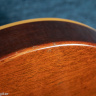 Aria Pro II LS-450 LP Standard