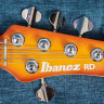 Ibanez RD-605 Bass