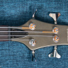 Ibanez EDB-500 Ergodyne Bass