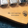 Fender Player Stratocaster 75 Anniversary