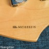 Fender Deluxe Zone Bass