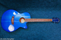 Washburn EA-16