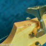 Edwards E-FR-95B Forest Bass