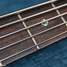 Ibanez RD-605 Bass