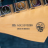 Fender Player Stratocaster 75 Anniversary