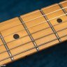 Fender Standard Telecaster 