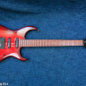 Fernandes FGZ-420 