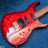Fernandes FGZ-420 
